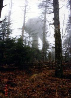 Clingmans Dome